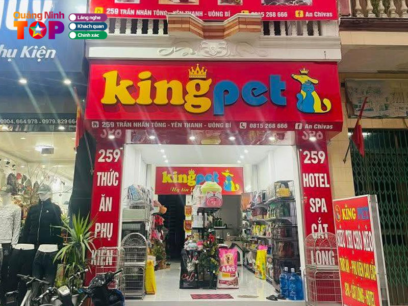 King-pet-quangninhtoplist