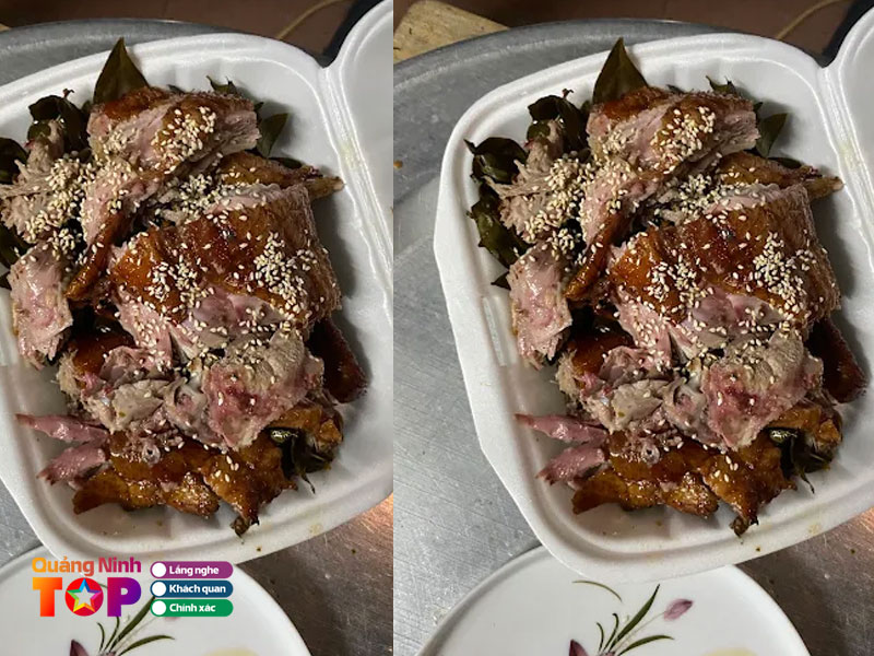 Vit-quay-lu-chung-thao-quangninhtoplist