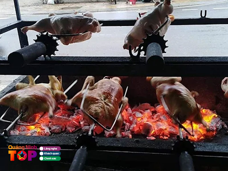 Vit-quay-tuan-anh-quangninhtoplist