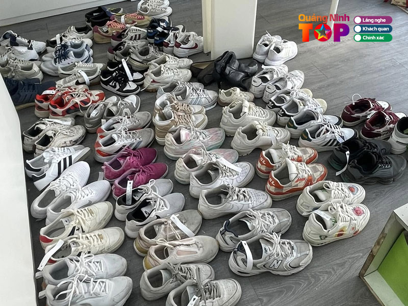 Corgi-lab-quangninhtoplist