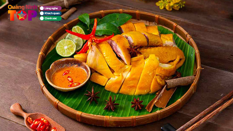 Top-5-dia-chi-ban-ga-u-muoi-tai-quang-ninh-ngon-thit-cuc-thom-quangninhtoplist